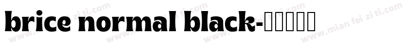 brice normal black字体转换